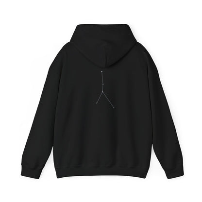 "Cancer" Zodiac Hoodie With The Sign's Stars On The Back