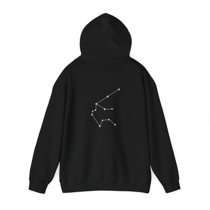 "Aquarius" Zodiac Hoodie With The Sign's Stars On The Back