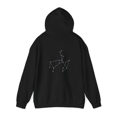 "Sagittarius" Zodiac Hoodie With The Sign's Stars On The Back